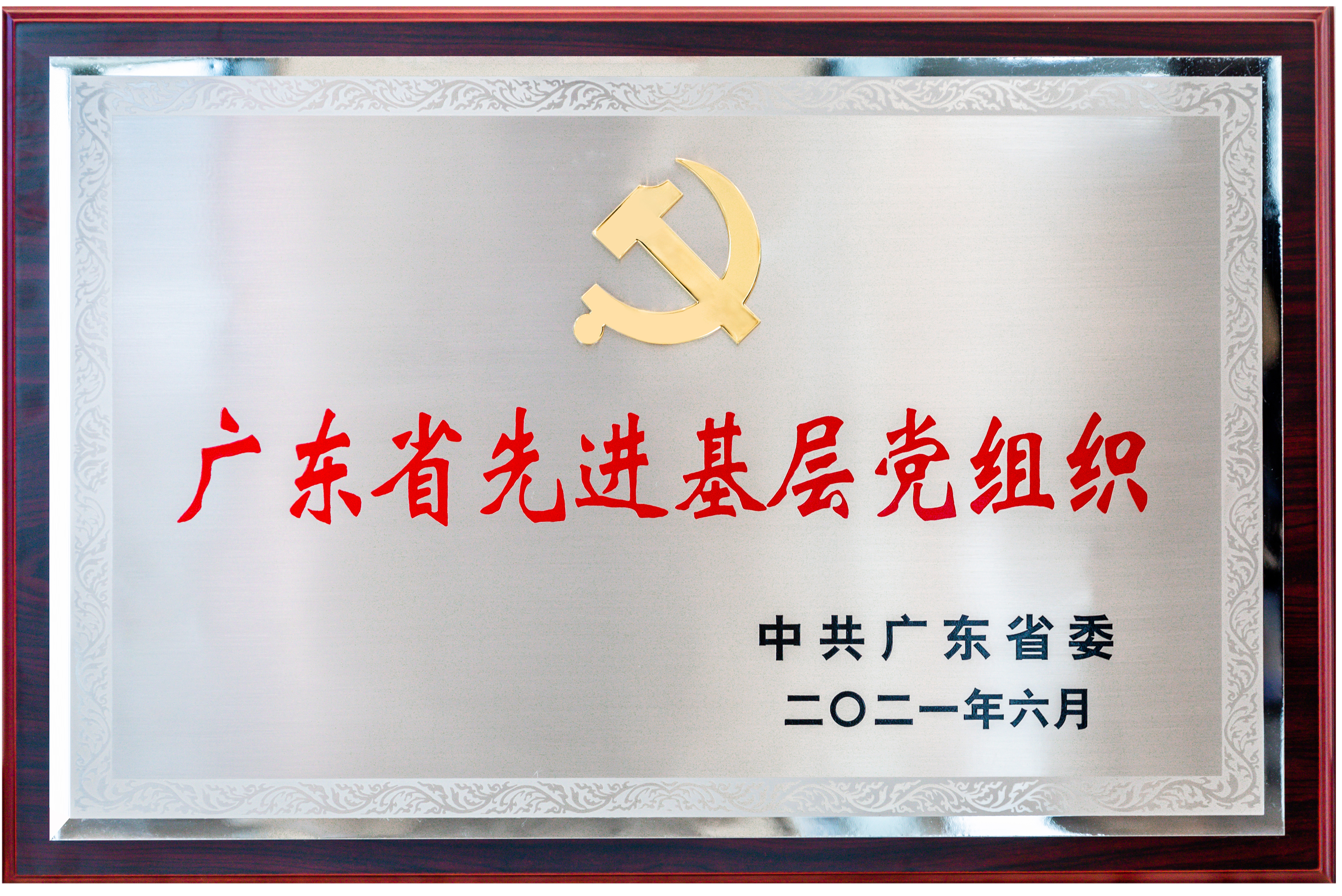 广东省先进基层党组织